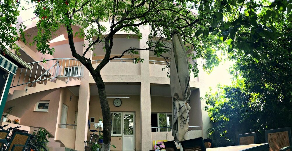 Фото Абрикос