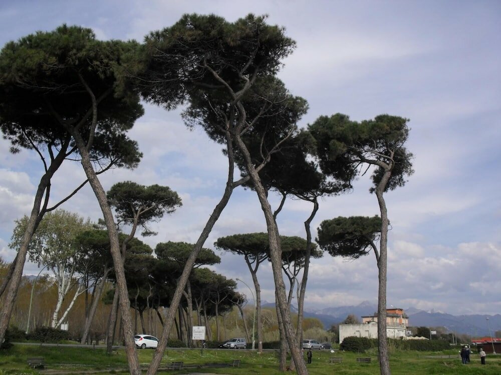 Фото Residence Pax