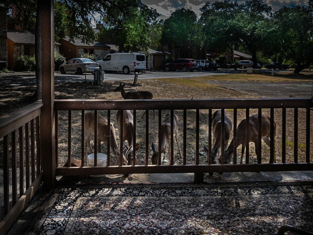 Фото Cypress Fairway Village