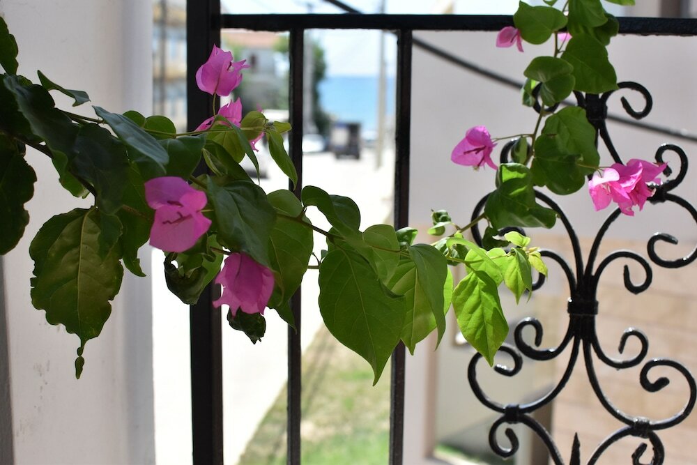 Фото Ephelia gold