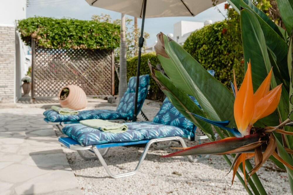 Фото Villa Mozart