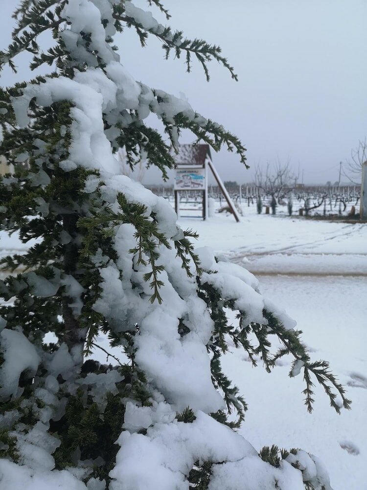 Фото Casa Rural El Llano Quintanilla
