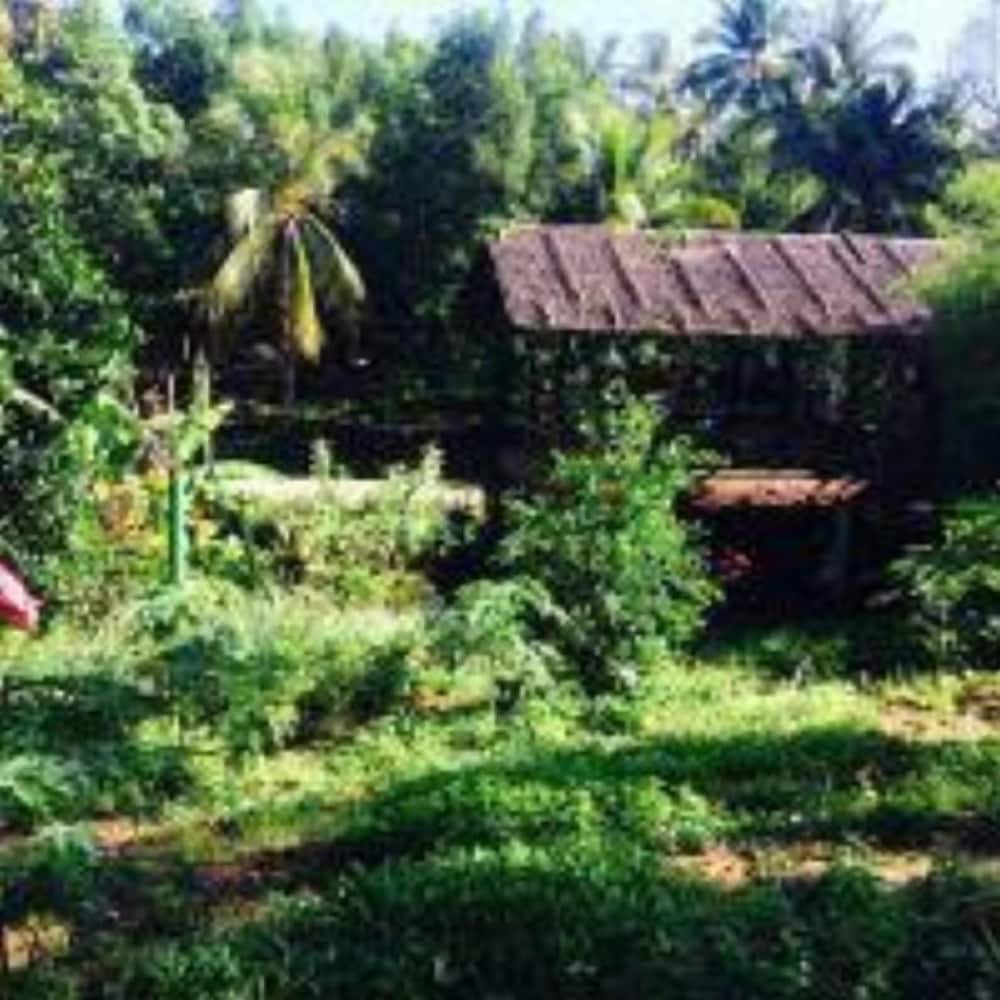 Фото Phayam Garden View