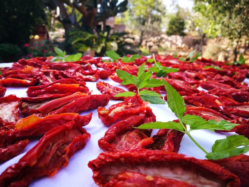 Фото Masseria Borgo del Gallo