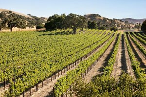 Гостиница Hyatt Place Santa Barbara