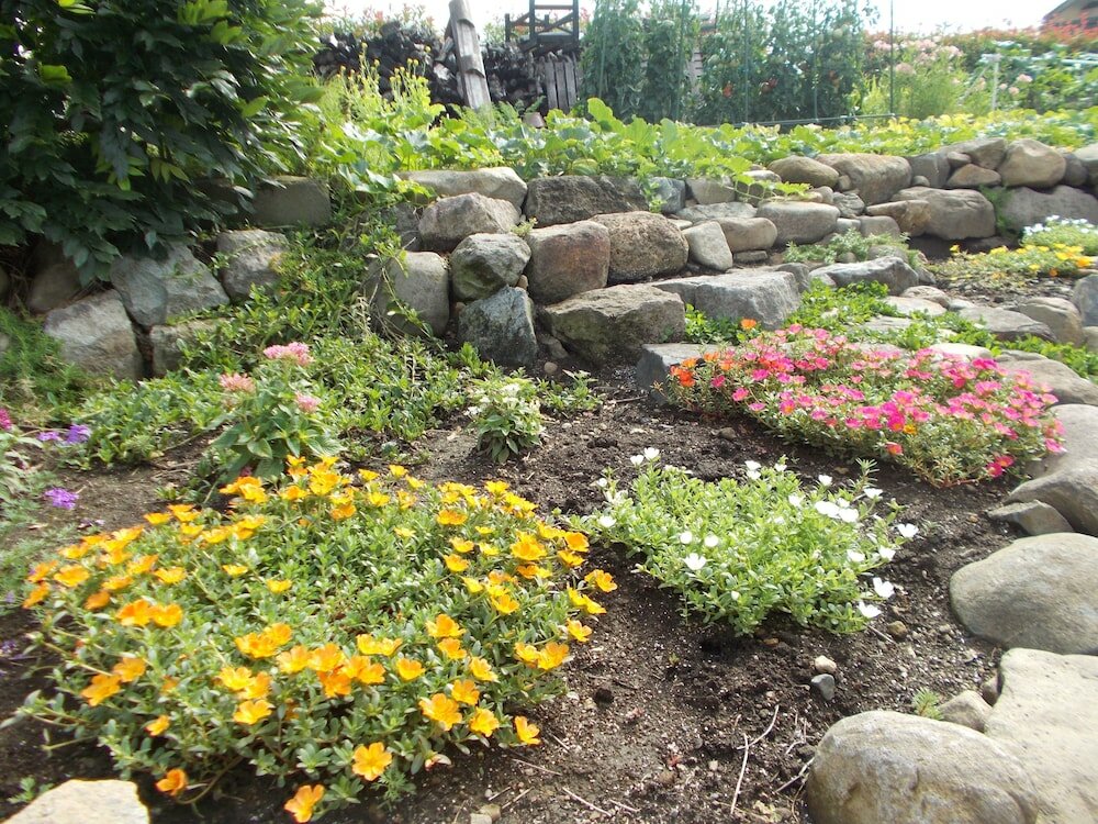 Фото Guest House Honami-Kaido - Hostel