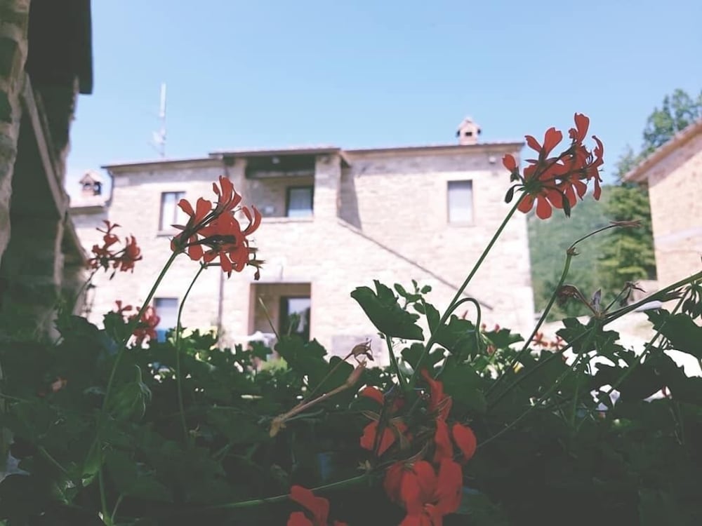 Фото Il Quercione