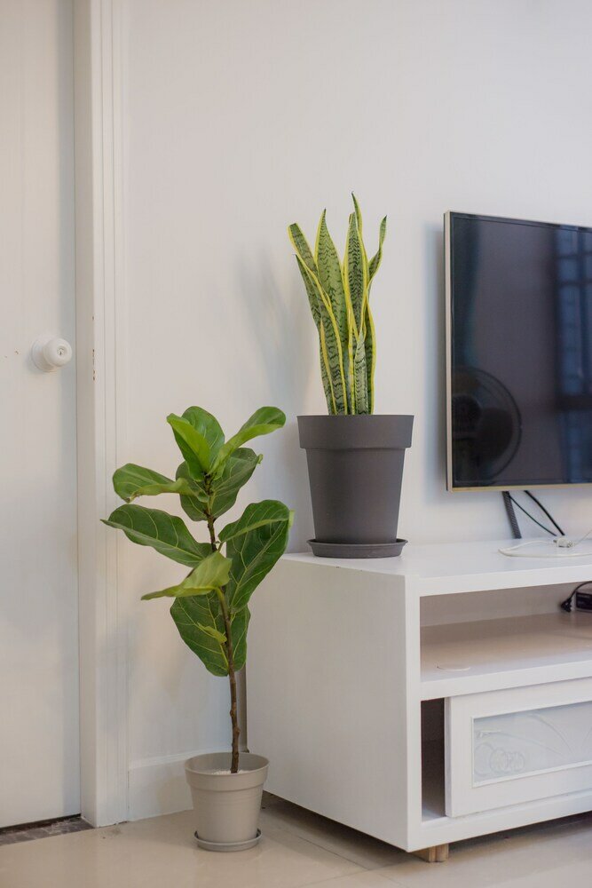 Фото Shezhen Duwel Service Apartment Luohu