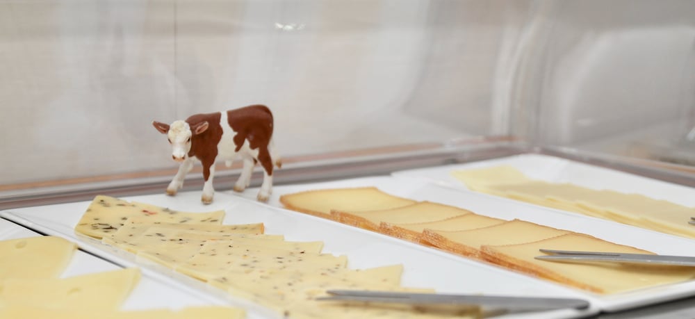 Фото Hotel Bartmanns Haus