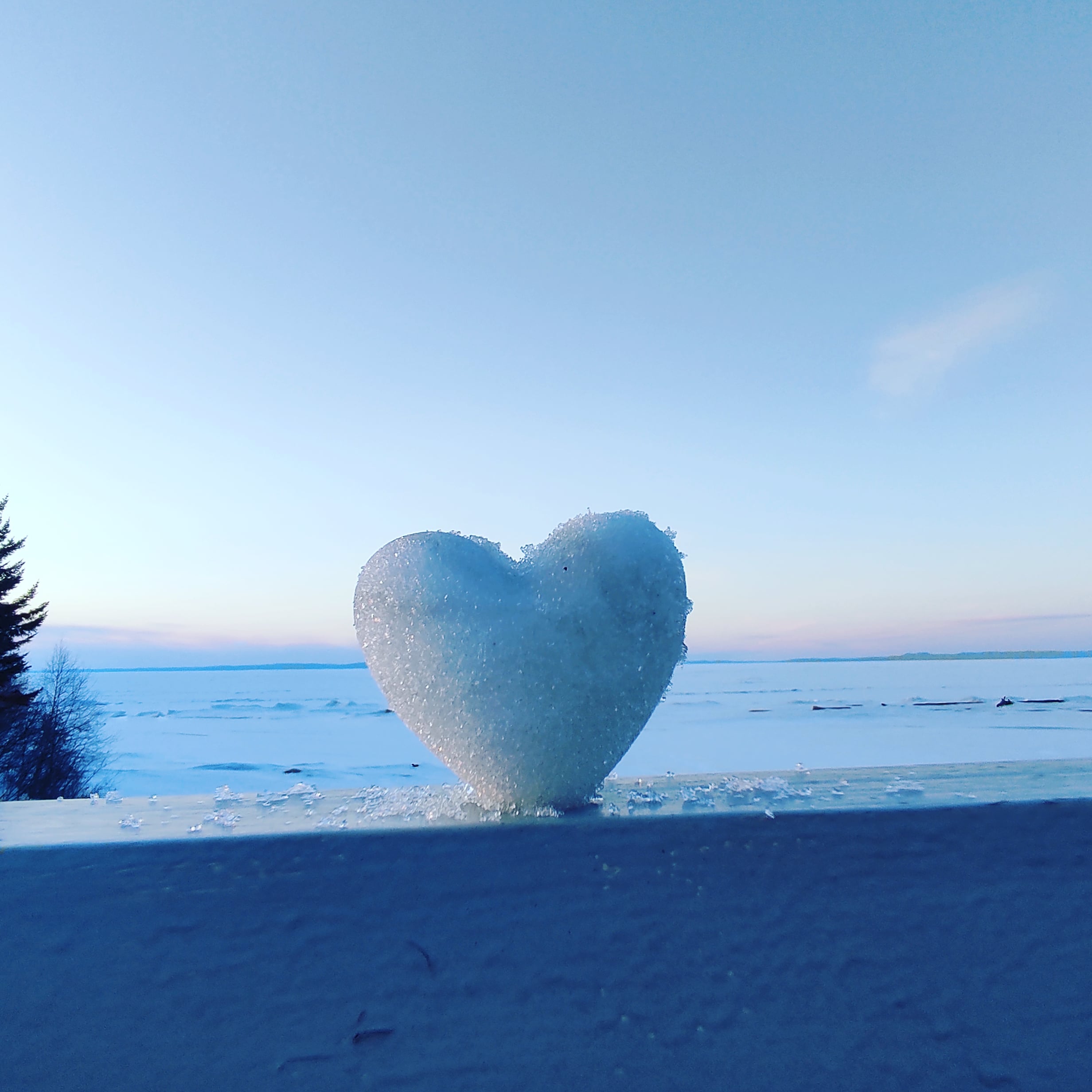 Фото Бурундуки