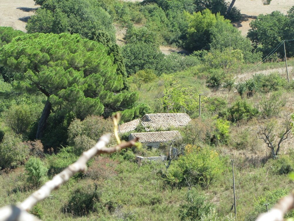 Фото Agriturismo San Pietro