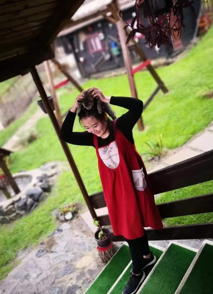 Фото Apartment Sarganska Osmica 8