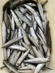 Соленая копченая рыба (Заводское ш., 23А), рыба и морепродукты в Самаре