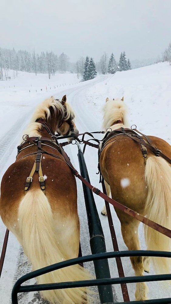 Фото Ranch Marina