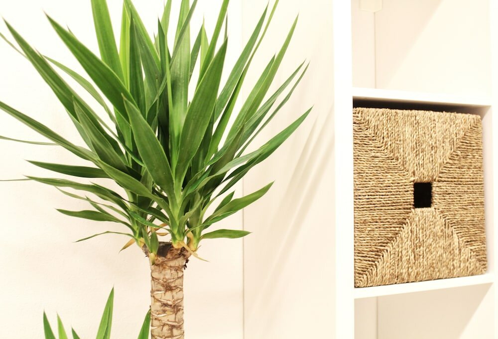 Фото Boardinghouse Gaimersheim