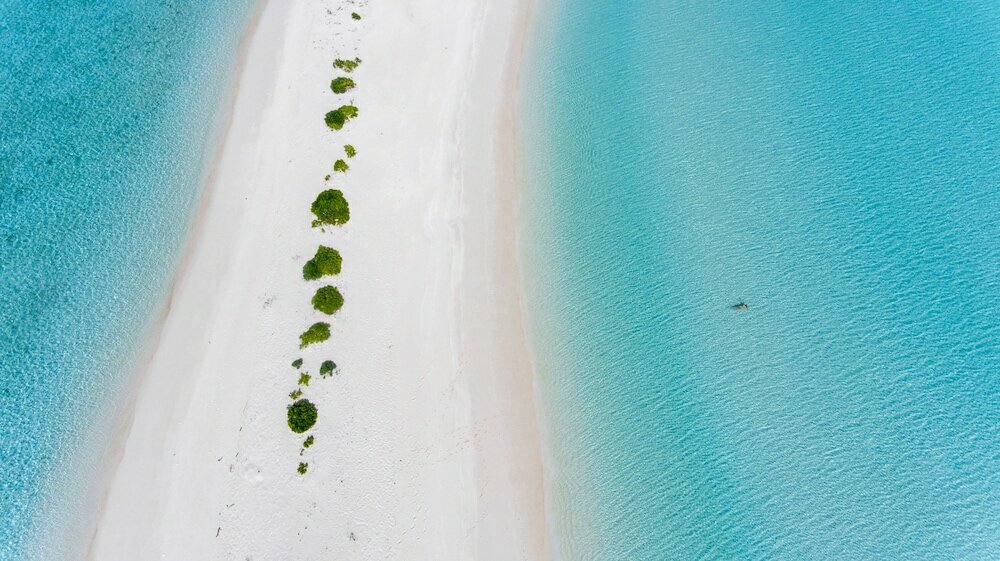 Фото Отель Olive Goidhoo