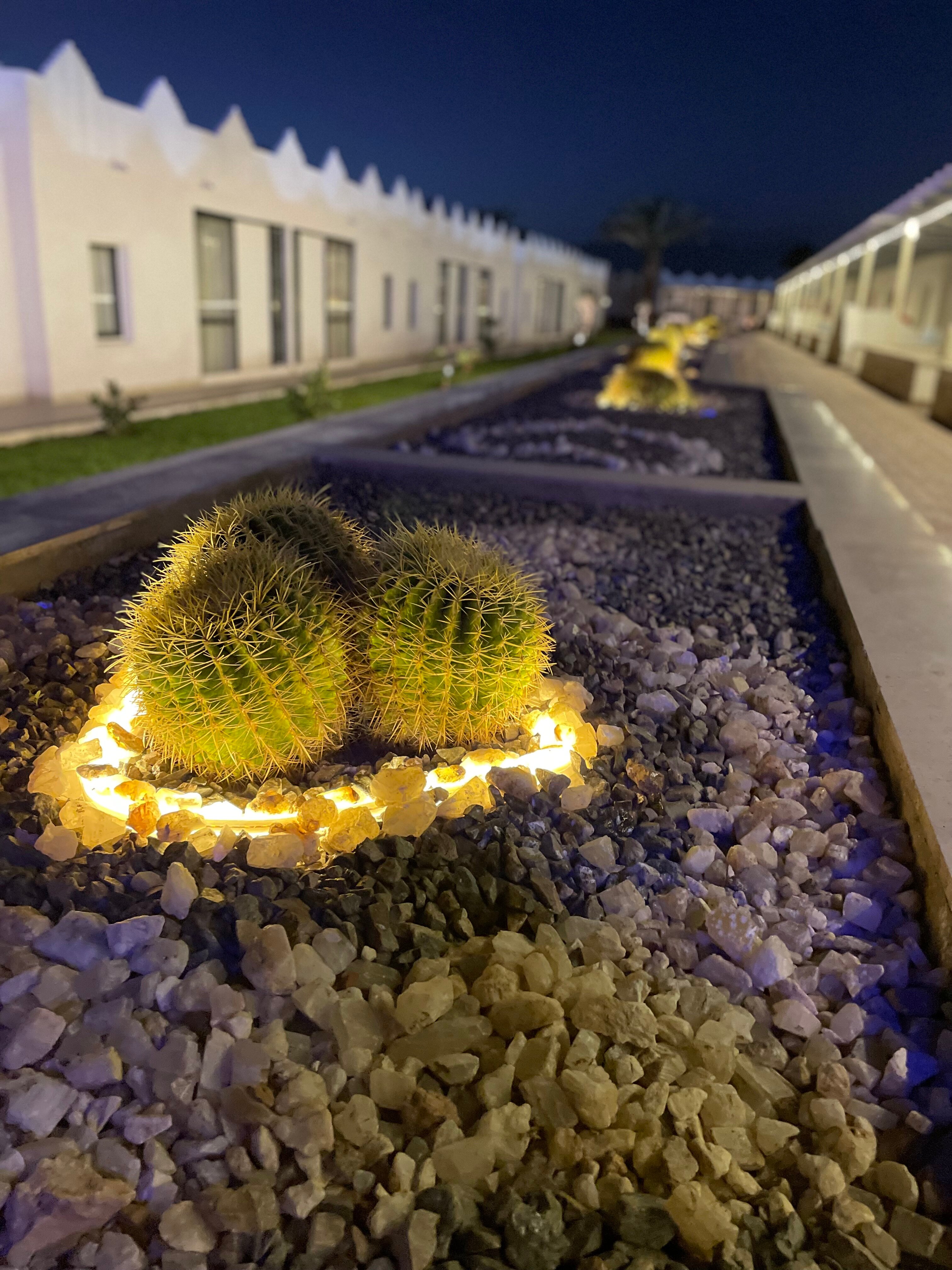 Фото Albatros Sharm Resort