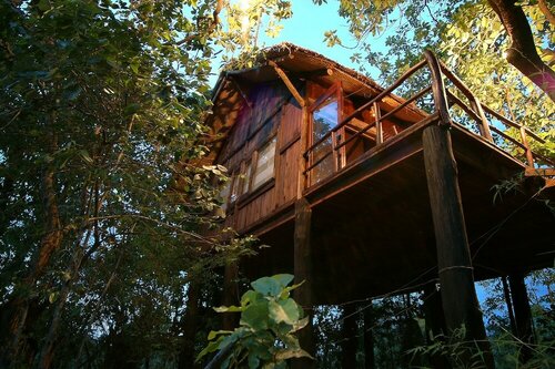 Гостиница Pugdundee Safaris- Tree House Hideaway в Мадхья-Прадеш