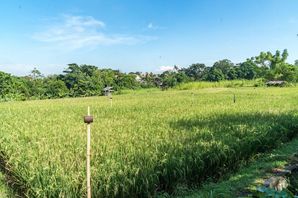 Фото Villa Ruku-Ruku