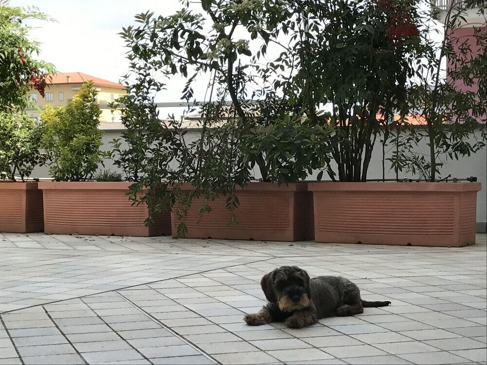 Фото Appartamenti Aquamarina