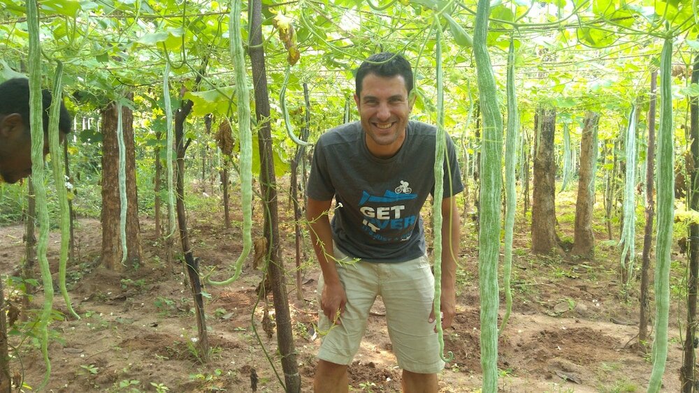 Фото Araliya Self Cooking Resort Dambulla