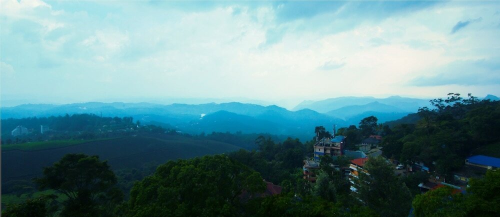 Фото Forest Glade