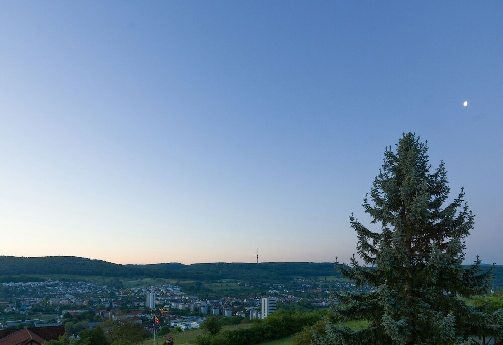 Фото Maien Hotel & Restaurant