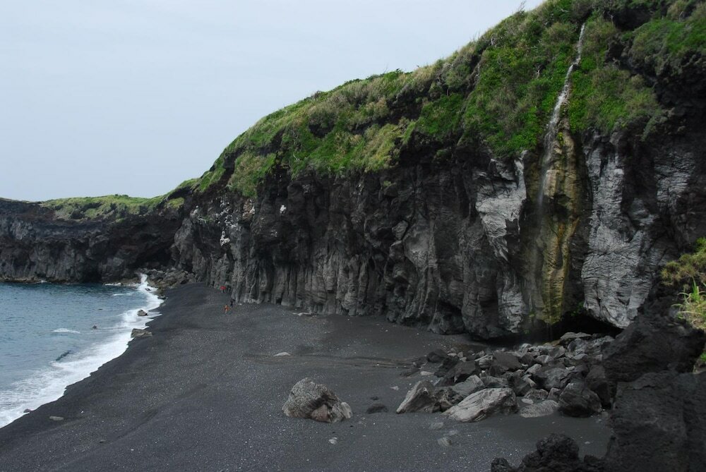 Фото Snapper inn