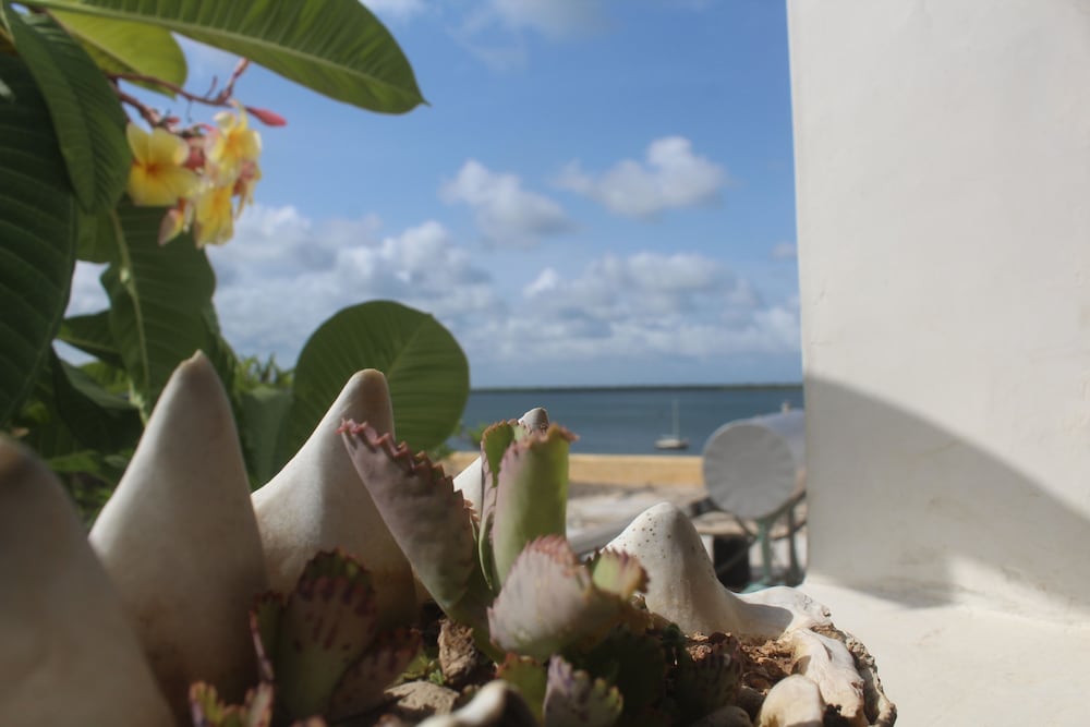 Фото Kijani Hotel