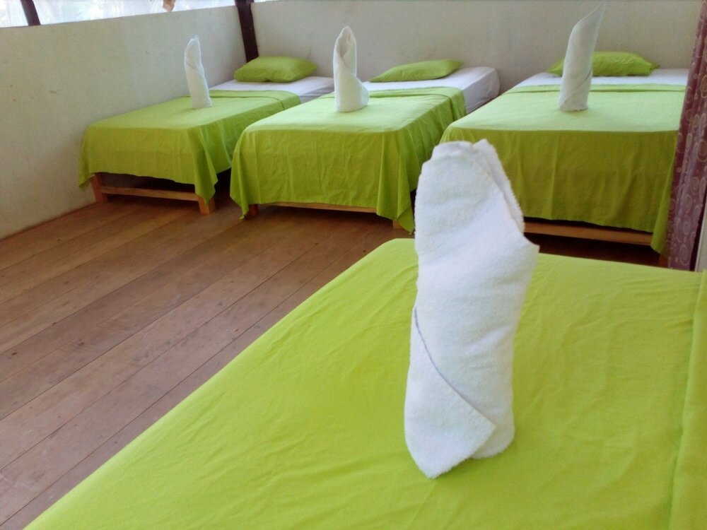 Фото Amazon Canopy Expeditions Ecolodge