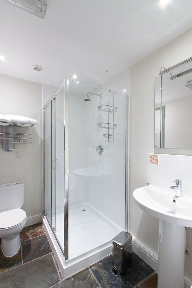 Фото The Old Vine