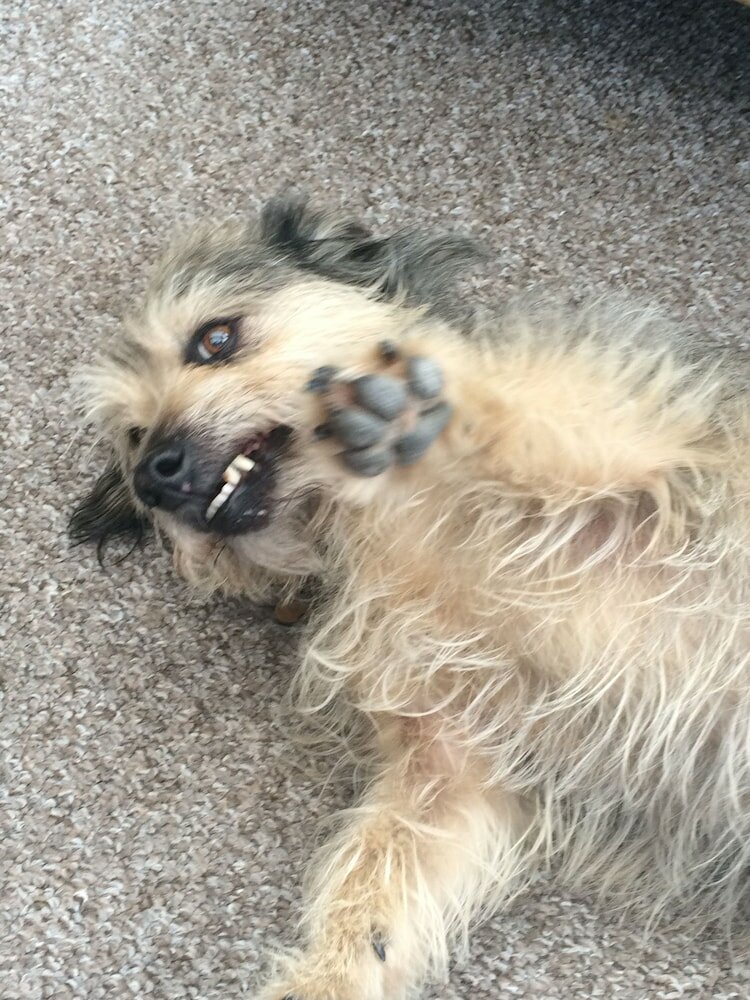 Фото George Hotel