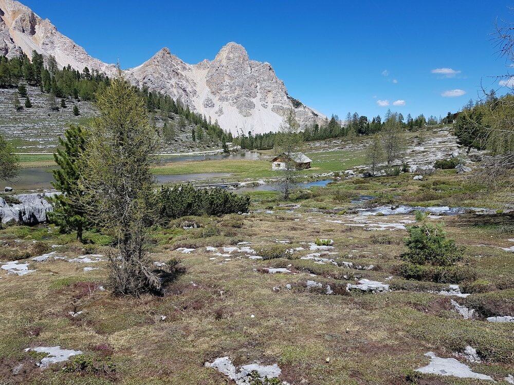 Фото Hotel Alpenrose