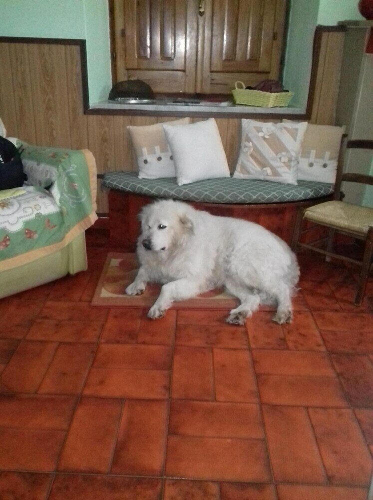 Фото B&b Su Narboni Mannu E4247