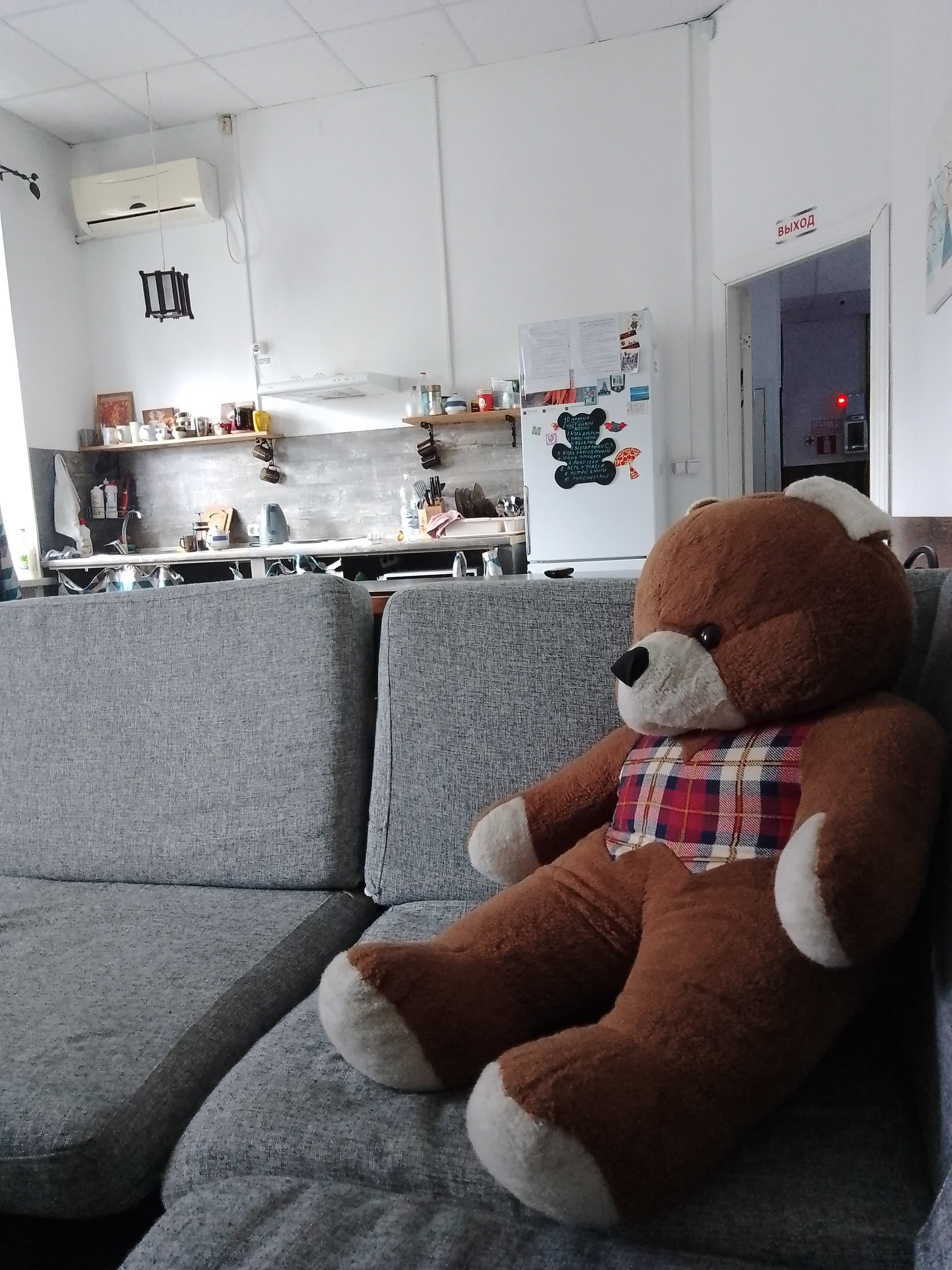 Фото Берлога