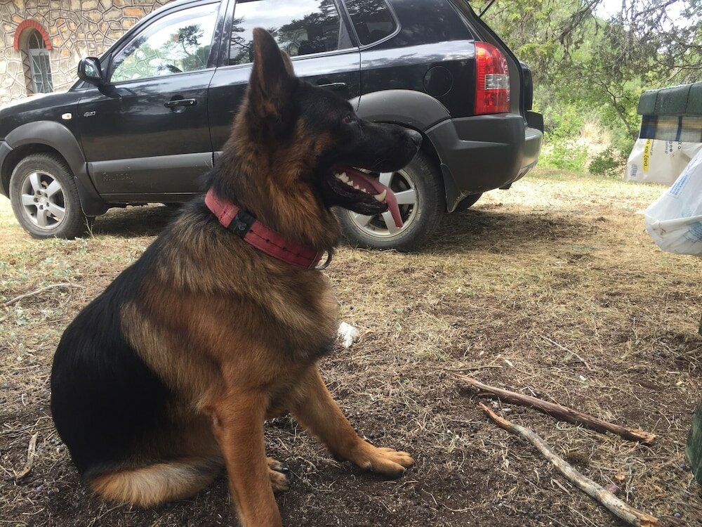 Фото Agios Germanos Traditional Hotel