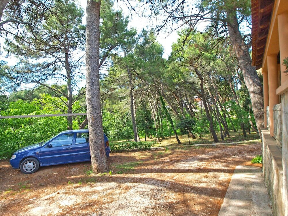 Фото Apartments Branko 1348