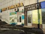 Florist-shop (Соколовая ул., 18/40), магазин цветов в Саратове