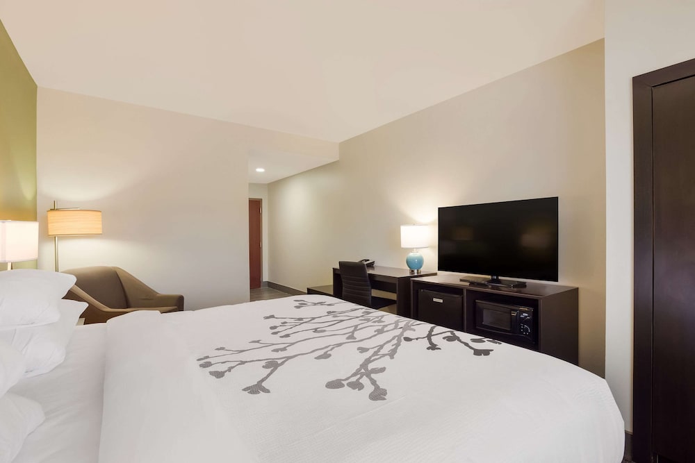 Фото Sleep Inn & Suites North Mobile Saraland