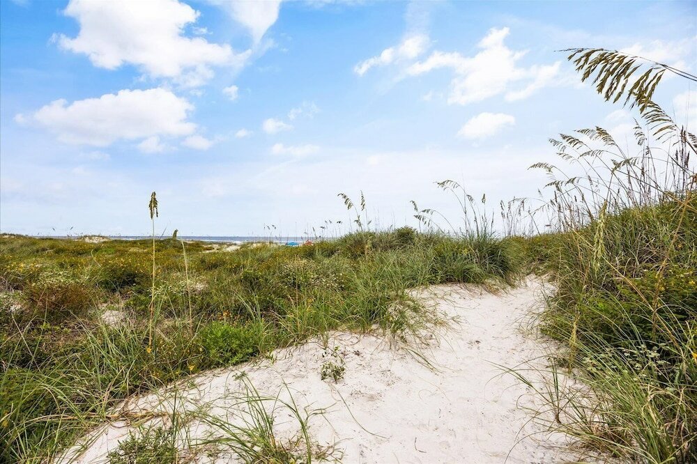 Фото Ocean Hibiscus