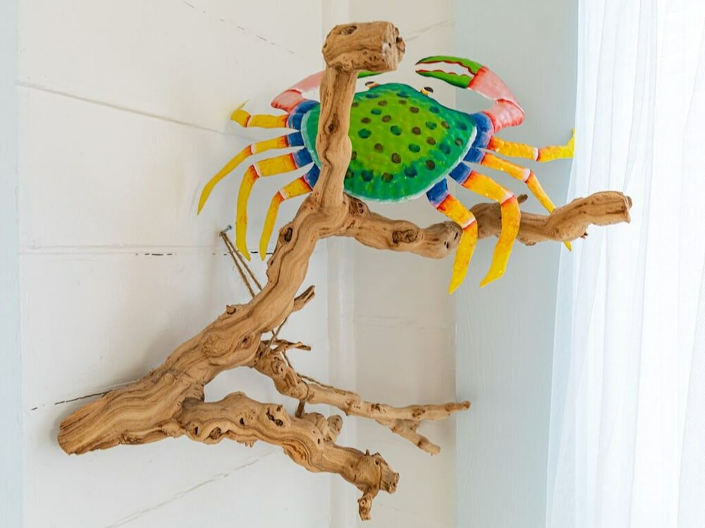 Фото Sunburst Cottage