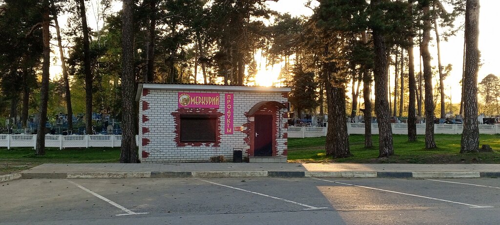 Grocery Меркурий, Suraj, photo