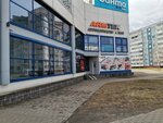 Armtek (Габровская ул., 32), магазин автозапчастей и автотоваров в Могилёве