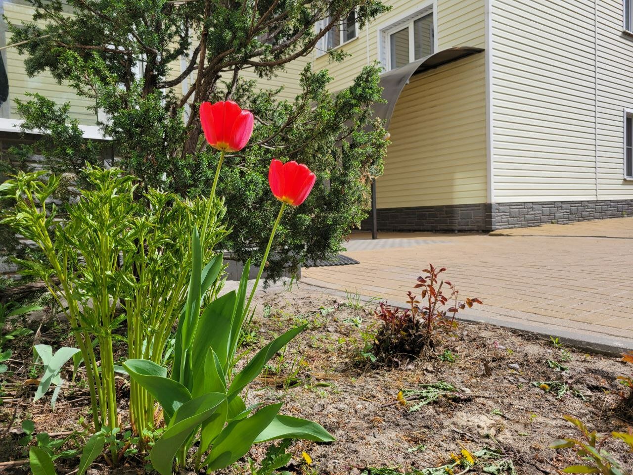 Фото Согдиана