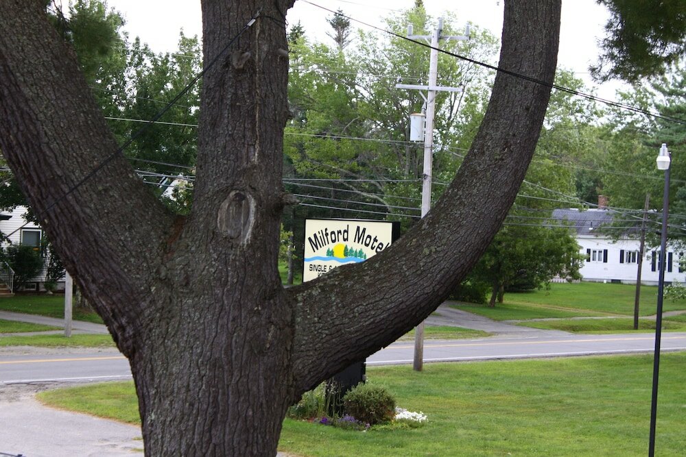 Фото Milford Motel On The River