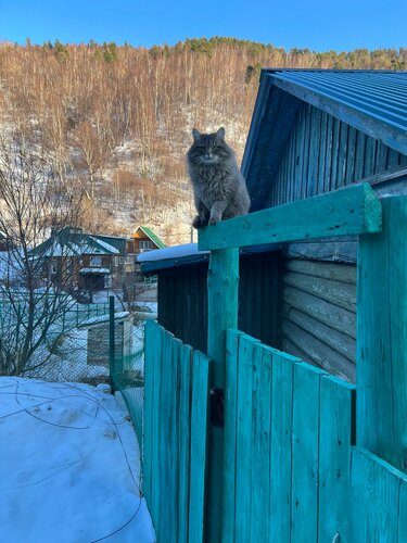 Гавань Листвянка — фото 4