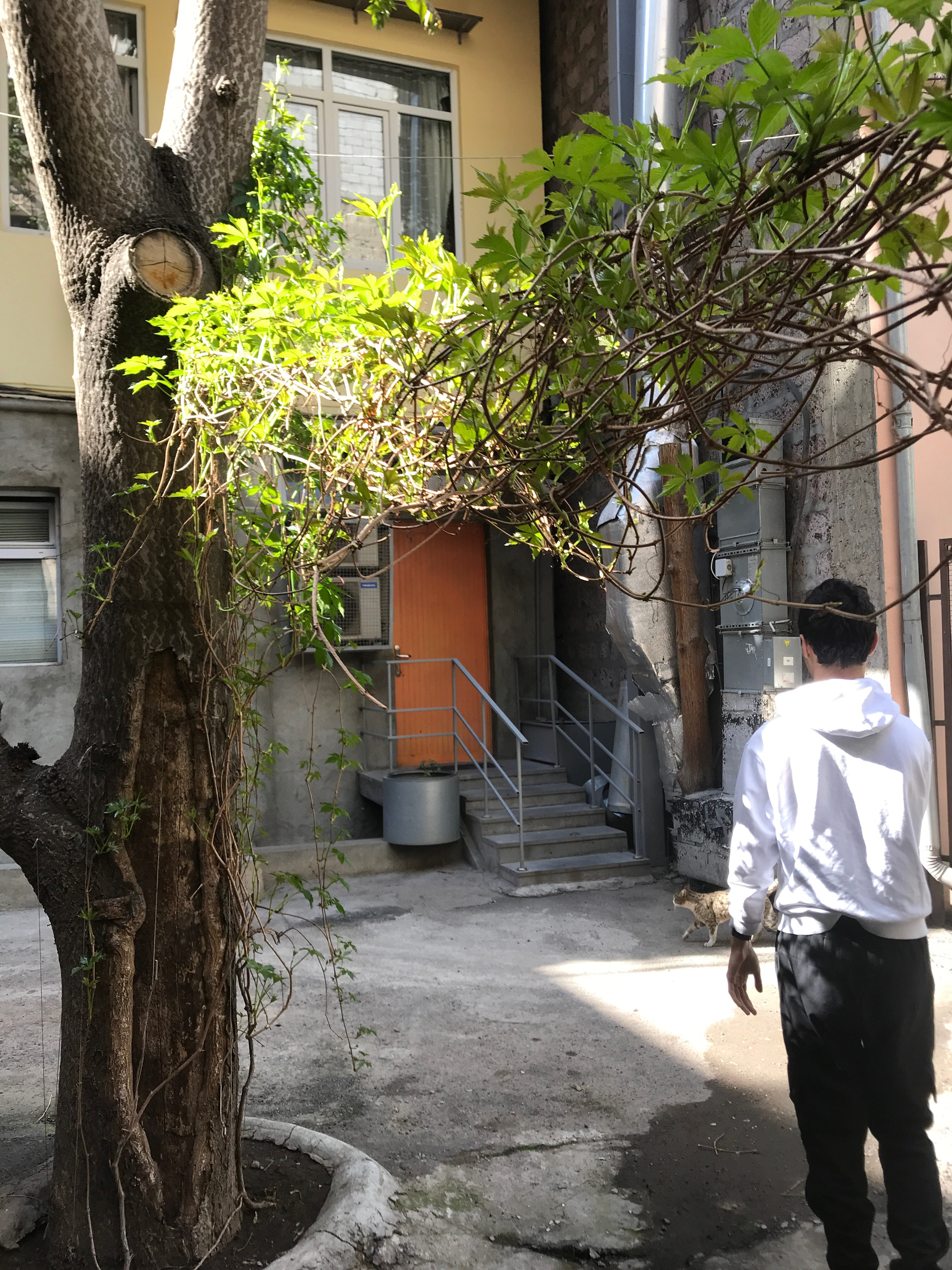 Фото Хостел Armena