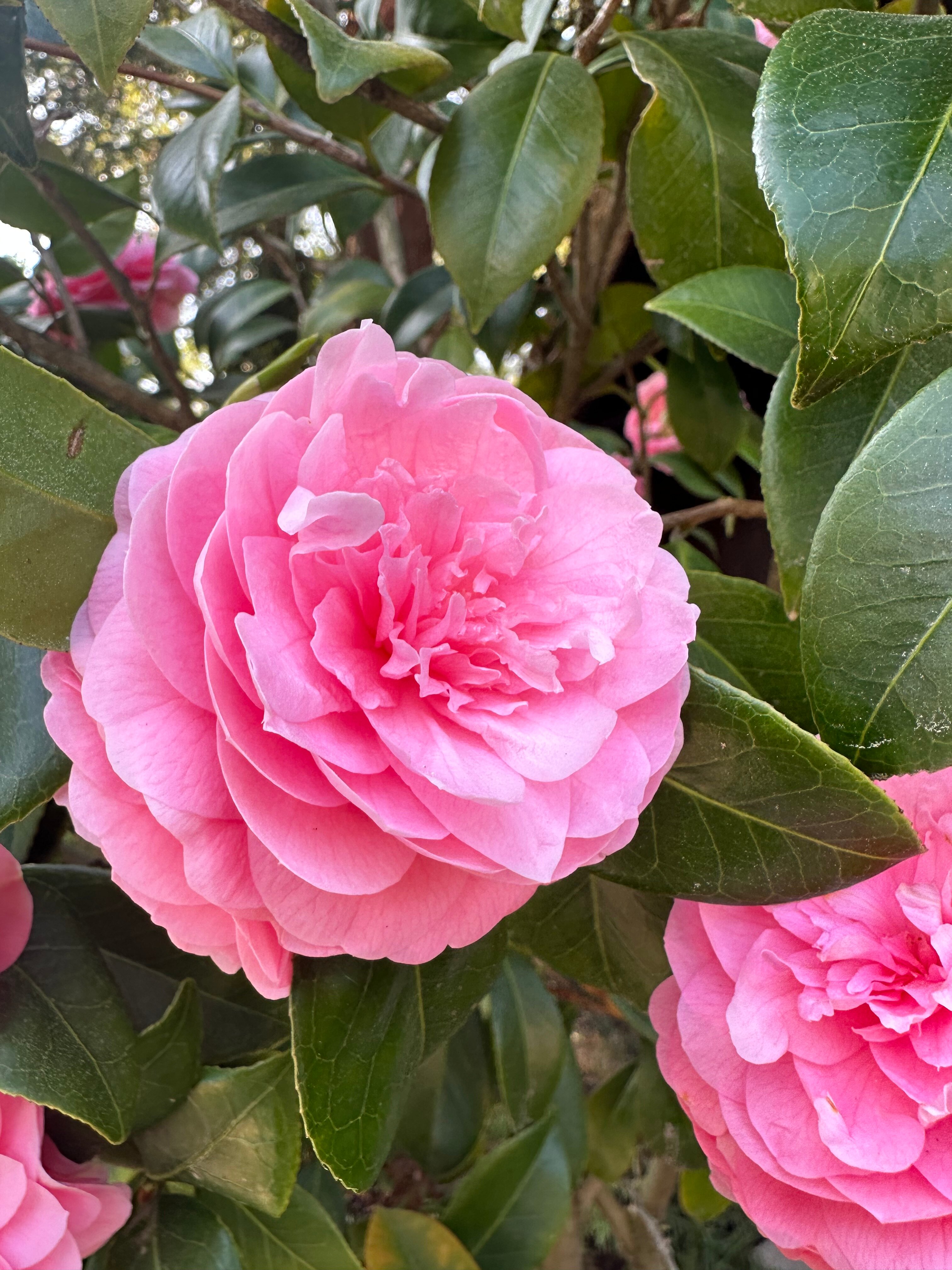 Фото Villas & SPA by Ostrova