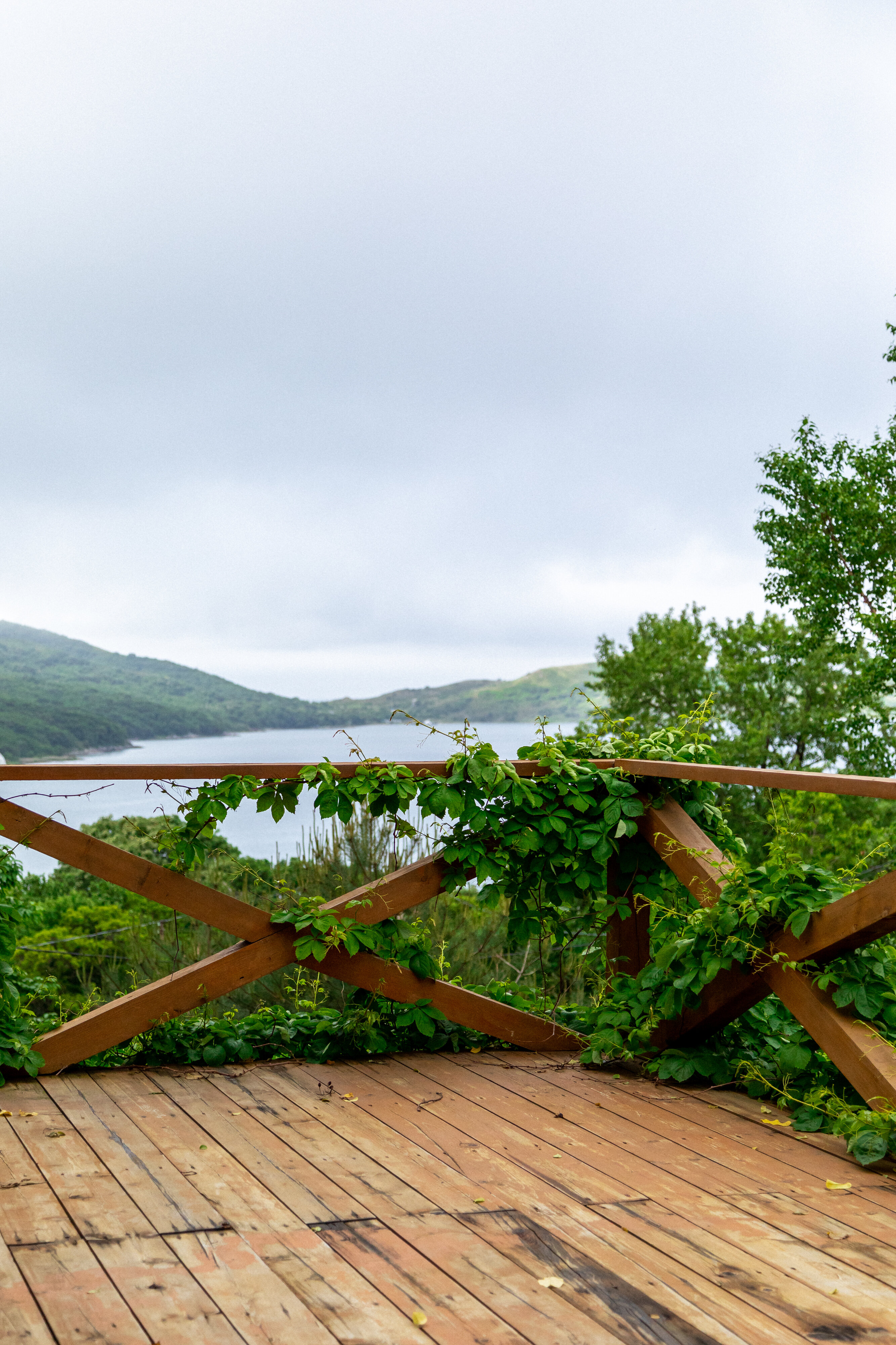 Фото Ольховая