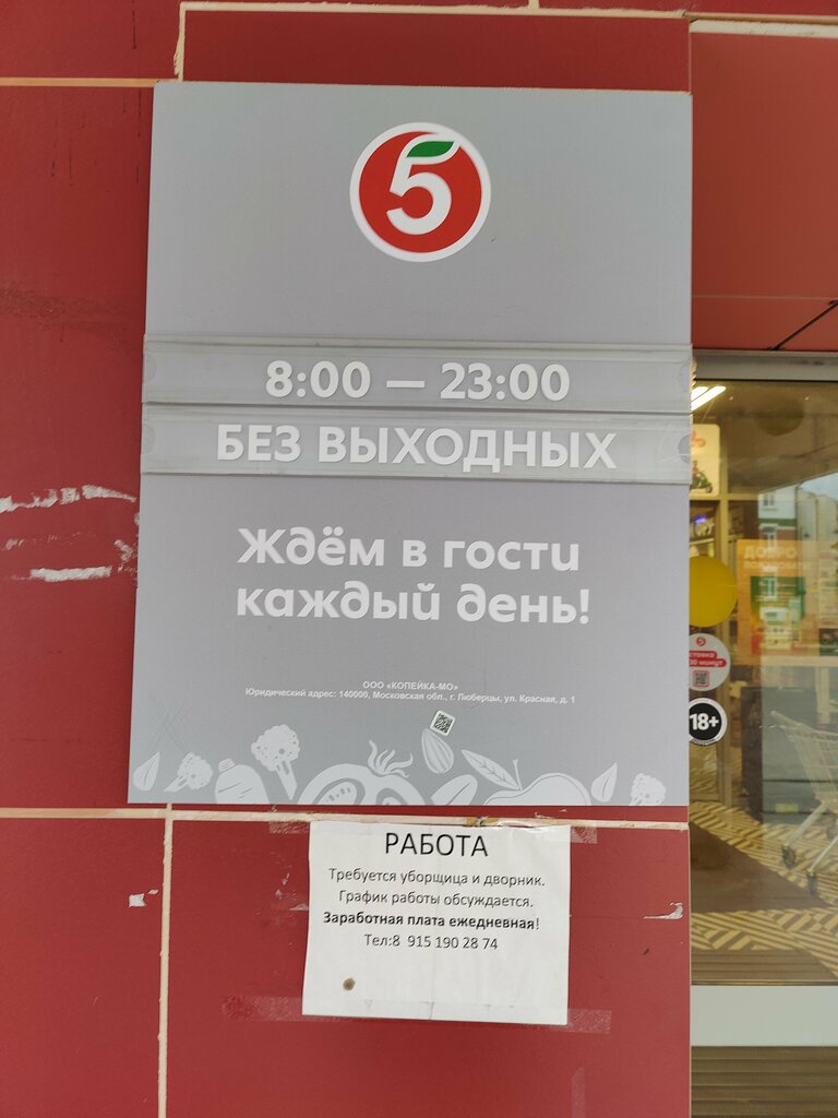 Supermarket Pyatyorochka, Zaraysk, photo